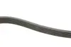 Ремінь генератора Fiat Scudo 1.9D/Ford Escort 1.6/1.8i (6PK1674) HUTCHINSON 1674 K 6 (фото 3)