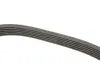 Ремінь генератора Citroen Berlingo/Peugeot Partner 1.6HDI/Fiat Scudo 1.6D (6PK1710) HUTCHINSON 1710 K 6 (фото 2)