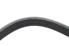 Ремінь генератора Ford Scorpio 2.0i 94-98 (6PK1755) HUTCHINSON 1755 K 6 (фото 4)