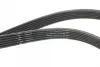 Ремінь генератора Volvo 2.0T/2.4D/3.0T6 01-08 HUTCHINSON 1825 KDF 6 (фото 2)