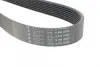 Ремінь генератора Land Rover Range Rover Sport 2.7D 05-13 HUTCHINSON 2090 K 8 (фото 4)