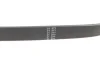 Ремінь генератора Fiat Croma 2.4D 05- (5PK595) Hutchinson 595 SK 5 (фото 3)