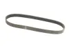 Ремінь генератора Ford Transit 2.0Di/TDCi 00- (-AC) (6PK831) HUTCHINSON 831 SK 6 (фото 2)