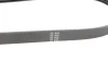 Ремінь генератора BMW 3 (E36) 95-00 (5PK836) (N47/M47) HUTCHINSON 836 SK 4 (фото 3)