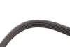Ремінь генератора Fiat Scudo 2.0 JTD 99-06 (5PK970) Hutchinson 970 K 5 (фото 2)