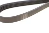 Ремінь генератора Fiat Scudo 2.0 JTD 99-06 (5PK970) Hutchinson 970 K 5 (фото 4)