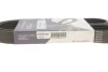 Ремінь генератора Citroen Berlingo/VW Golf III 1.4-2.0i 91- (6PK975) Hutchinson 975 K 6 (фото 5)