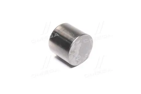 Гідрокомпенсатор (Mobis) Hyundai/Kia/Mobis 222262B422
