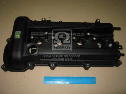 Кришка Hyundai/Kia/Mobis 224102B000