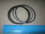 Комплект поршневых колец Hyundai/Kia/Mobis 2304023400 (фото 1)