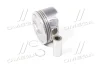 Поршень Hyundai/Kia/Mobis 234102G500 (фото 1)