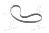 Ремінь поліклиновий (Mobis) Hyundai/Kia/Mobis 252122B030 (фото 3)