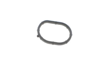 Прокладка термостата Hyundai ix35/Santa Fe/Kia Sorento 2.4 09- Hyundai/Kia/Mobis 256422G500