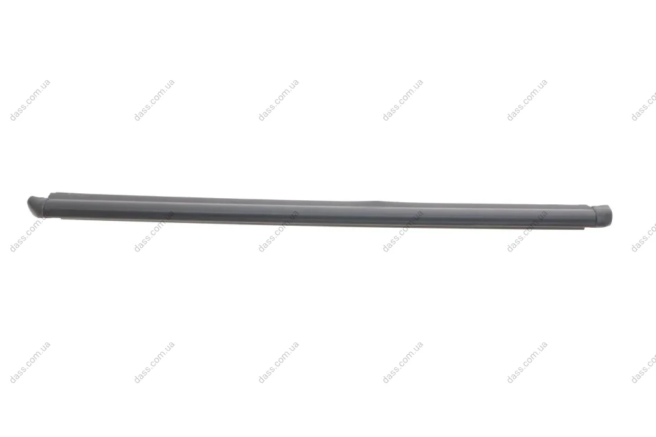 Ущільнювач скла дверей (задніх/зовнішній/L) Hyundai Getz 02-11 Hyundai/Kia/Mobis 832101C001 (фото 1)