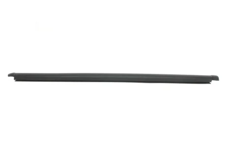 Ущільнювач скла дверей (задніх/зовнішній/R) Hyundai Getz 02-11 Hyundai/Kia/Mobis 832201C001