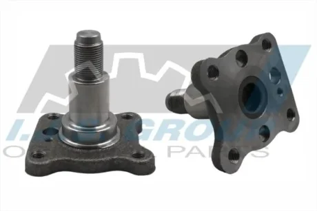 Маточина (задня) Ford Fiesta/Focus 98-08 IJS 10-2034