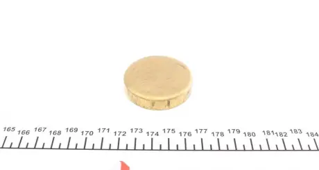 Заглушка блоку циліндрів (d=47mm) Латунь/Brass IMPERGOM 40984