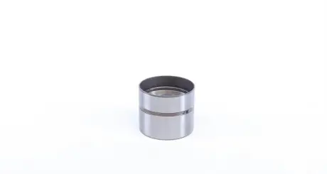 Гідрокомпенсатор VW Polo/Seat Cordoba/Ibiza 1.4i 96-00, (F-46518.23) INA 420 0062 10