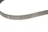Комплект ременя генератора Ford Fiesta 1.3 01-08 (6PK2193) INA 529 0067 10 (фото 2)