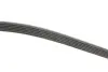 Комплект ременя генератора Citroen Jumpy/Fiat Scudo/Peugeot Expert 2.0HDi 04- (6PK1218) INA 529 0105 10 (фото 2)
