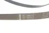 Комплект ременя генератора Citroen Jumpy/Fiat Scudo/Peugeot Expert 2.0HDi 04- (6PK1218) INA 529 0105 10 (фото 4)
