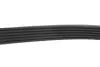 Комплект ременя генератора Chevrolet Cruze/Orlando/Opel Astra/Insignia 08- (6PK1555) INA 529 0327 10 (фото 6)
