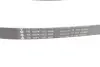 Комплект ременя генератора Peugeot 208/2008 1.6BlueHDi 13- (6PK1005) INA 529 0358 10 (фото 2)