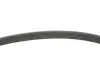 Комплект ременя генератора Volvo S60/S80/S90/V40/V60/V70/V90/XC40/XC60/XC70/XC90 13- (6PK1180) INA 529 0374 20 (фото 2)
