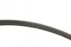Комплект ременя генератора Renault Twingo 1.2 TCe 07- (4PK745) INA 529 0408 10 (фото 2)