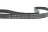 Комплект ременя генератора Audi A3/Seat Leon/Skoda Octavia/VW Caddy/Passat B6 1.6-2.0 03- (6PK1043) INA 529 0429 10 (фото 4)