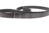 Комплект ременя генератора Land Rover Range Rover Sport 05-13/Discovery 2.7D 04- (8PK2093) INA 529044510 (фото 10)