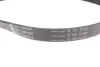 Комплект ременя генератора Ford Focus 2.5 ST 05-12, (5PK890 + 5PK848) INA 529 0477 10 (фото 3)