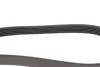 Комплект ременя генератора BMW X1 (F48) 15- B38 A15 (6PK1718) INA 529 0516 10 (фото 9)