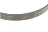 Комплект ременя генератора BMW 3 (F30, F80)/5 (G30/F90)/7 (G11/G12) 15- B46/B48/B58 (6PK1153) INA 529 0566 10 (фото 4)