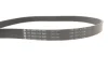 Комплект ременя генератора Audi A4/A6/A7/Q5 2.0H 17- (6PK1138) INA 529 0571 10 (фото 7)