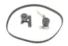 Комплект ГРМ Lada Niva 1.9D 93-99/Peugeot J5 1.9D 90-94 INA 530 0011 10 (фото 1)