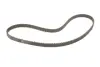 Комплект ГРМ Audi 100/200/80/90 2.0-2.3 -96 INA 530 0156 10 (фото 3)