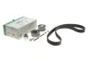 Комплект ГРМ Skoda Octavia II/VW Golf V 2.0TDI 03-, (141x30) 530 0405 10