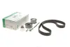 Комплект ГРМ Skoda Octavia II/VW Golf V/Passat B6 2.0TDI (141x30) 530 0463 10