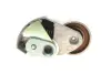 Комплект ГРМ Hyundai Santa Fe/Tucson 2.0/2.2 CRDi 01-12 INA 530 0542 10 (фото 7)