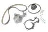 Комплект ГРМ + помпа Ford Focus III/Transit Courier 1.0-1.1 12- INA 530 0841 30 (фото 2)