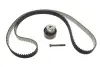 Комплект ГРМ Land Rover Discovery IV/V 3.0 D/SDV6/TD 4x4 09- (195x29) INA 530 0850 10 (фото 2)