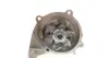 Помпа води Mazda 3/323/5/6/626/Premacy 2.0TD/DI/DITD/CD 98-10 (19z) INA 538 0101 10 (фото 4)