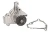 Помпа води Hyundai Elantra/Tucson/i30/Matrix/Kia Sportage/Cee\&#039;d/Cerato 1.8/2.0/2.0 16V/CVVT 00- INA 538 0669 10 (фото 2)