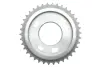 Комплект ланцюга ГРМ Ford Transit 2.4DI/2.2-2.4TDCI 06- (ланцюг, натяжник, шестерня) замінено на 559 1806 41 INA 559 0152 30 (фото 36)