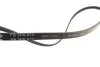 Фото 3 - ремінь генератора Citroen Jumper/Peugeot Boxer 2.5D 96-02 (3PK870) INA FB 3PK870 Ремінь генератора Citroen Jumper/Peugeot Boxer 2.5D 96-02 (3PK870) INA FB 3PK870 (фото 3)
