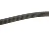 Ремінь генератора Mazda 323/626/ Opel Astra G/Vectra B/C 2.0/2.2 00-08 INA FB 5PK1030 (фото 3)