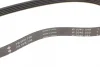 Ремінь генератора Land Rover Freelander 1.8 16V 00-06 INA FB 5PK736 (фото 3)