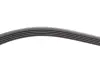 Ремень генератора BMW 3 (E46)/5 (E39)/7 (E38) 95-05 (5PK865) (M52/M54) INA FB 5PK865 (фото 3)