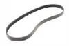 Ремінь генератора BMW 3 (E36)/5 (E34) 90-00 / Ford Focus 2.5 05-12 INA FB 5PK890 (фото 4)